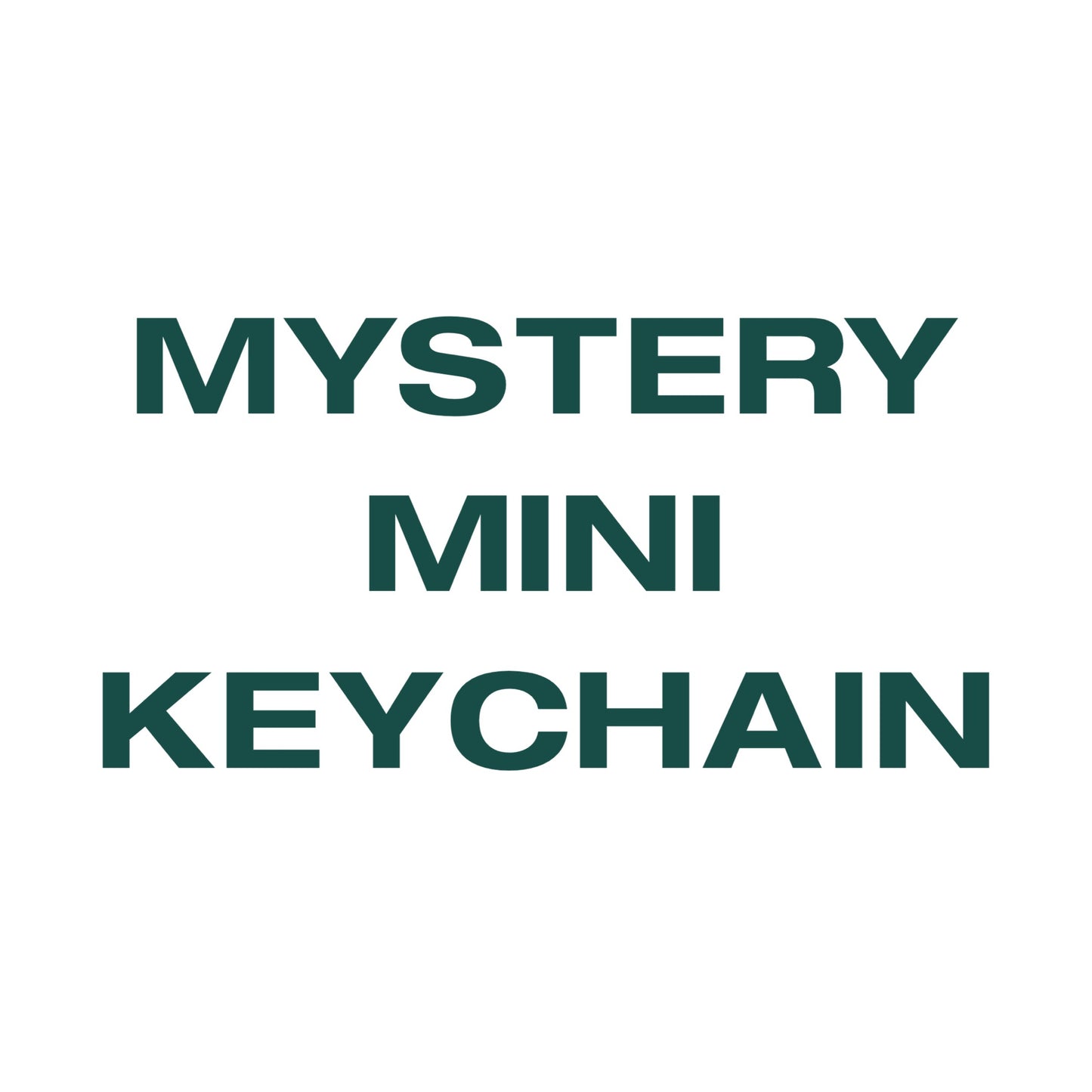 Mystery Mini Keychain